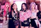 Ternyata Ini alasan Blackpink Sangat Sukses sejak Debutnya
