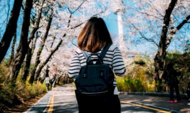 Tips Liburan Ke Korea untuk Pecinta Drakor dan K-Popers